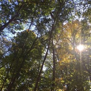 Meet your Posher, Dionne